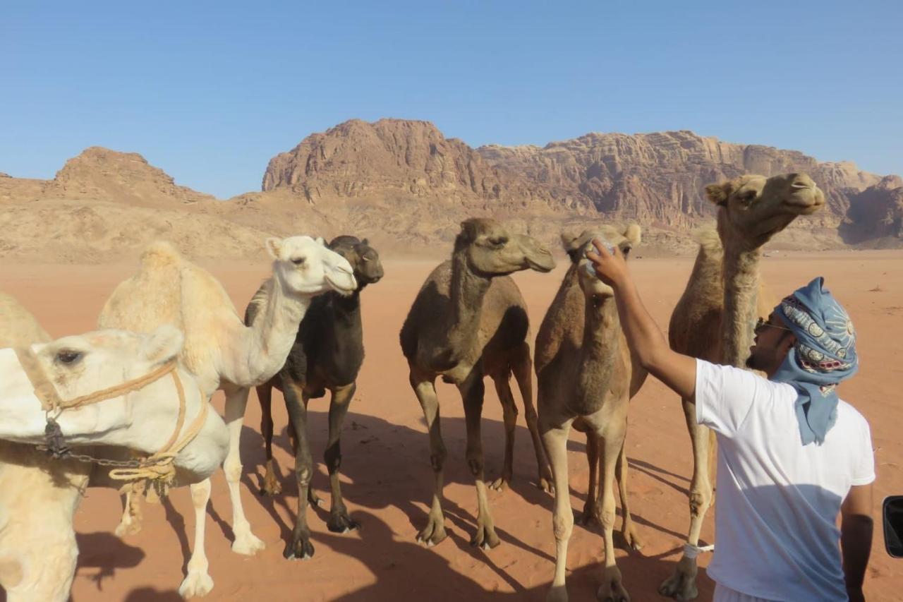 Wadirum Sunset Camp Hotel Wadi Rum Bagian luar foto